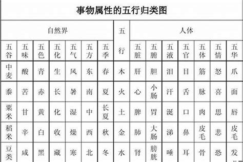 宁五行|宁字的五行属性